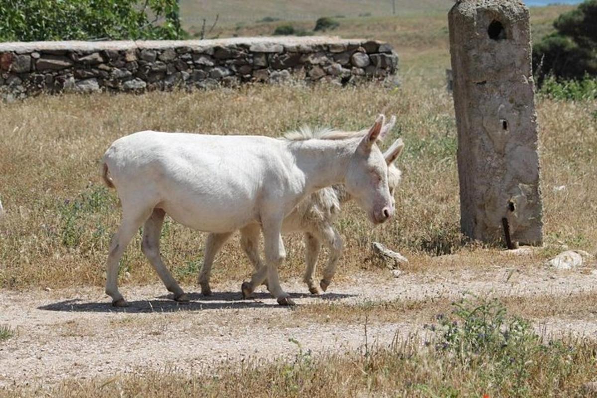 Fotografia 5 a atracției