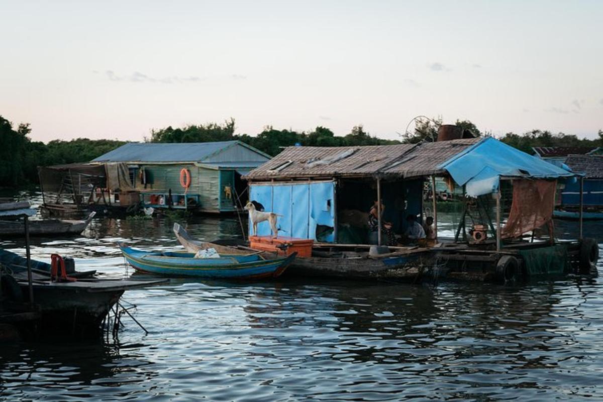 um grupo de casas e barcos na água
