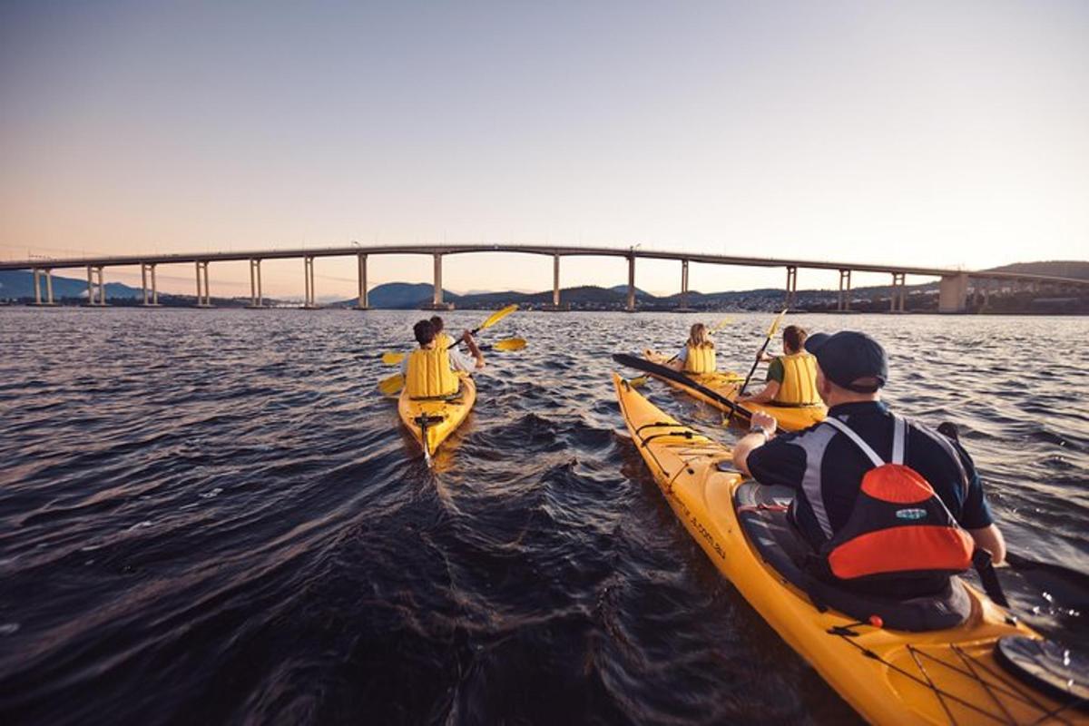 Un grupo de personas haciendo kayak en el agua cerca de un puente.