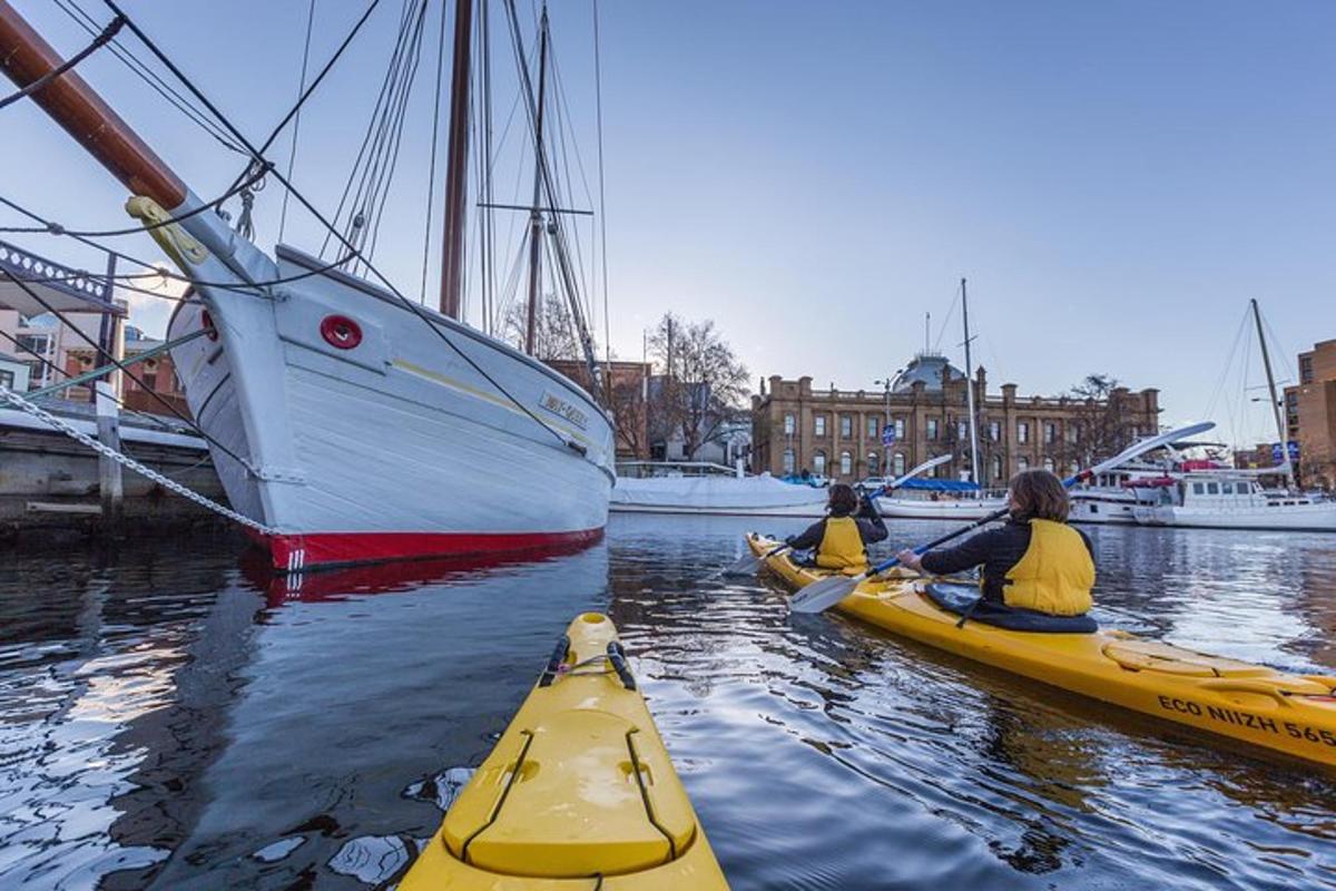Tres personas en kayaks en el agua junto a un barco.