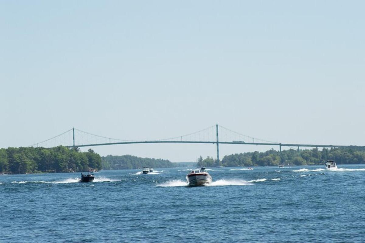 a group of boats in the water with a bridge in the background