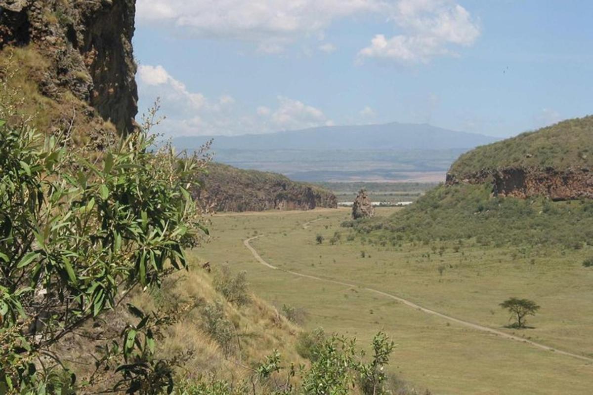a view of a grassy field with a dirt road