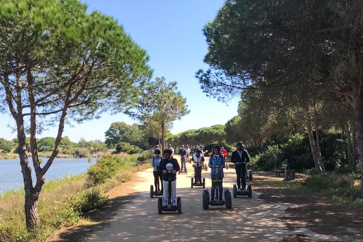 grupa ljudi koji se voze segwayima niz cestu