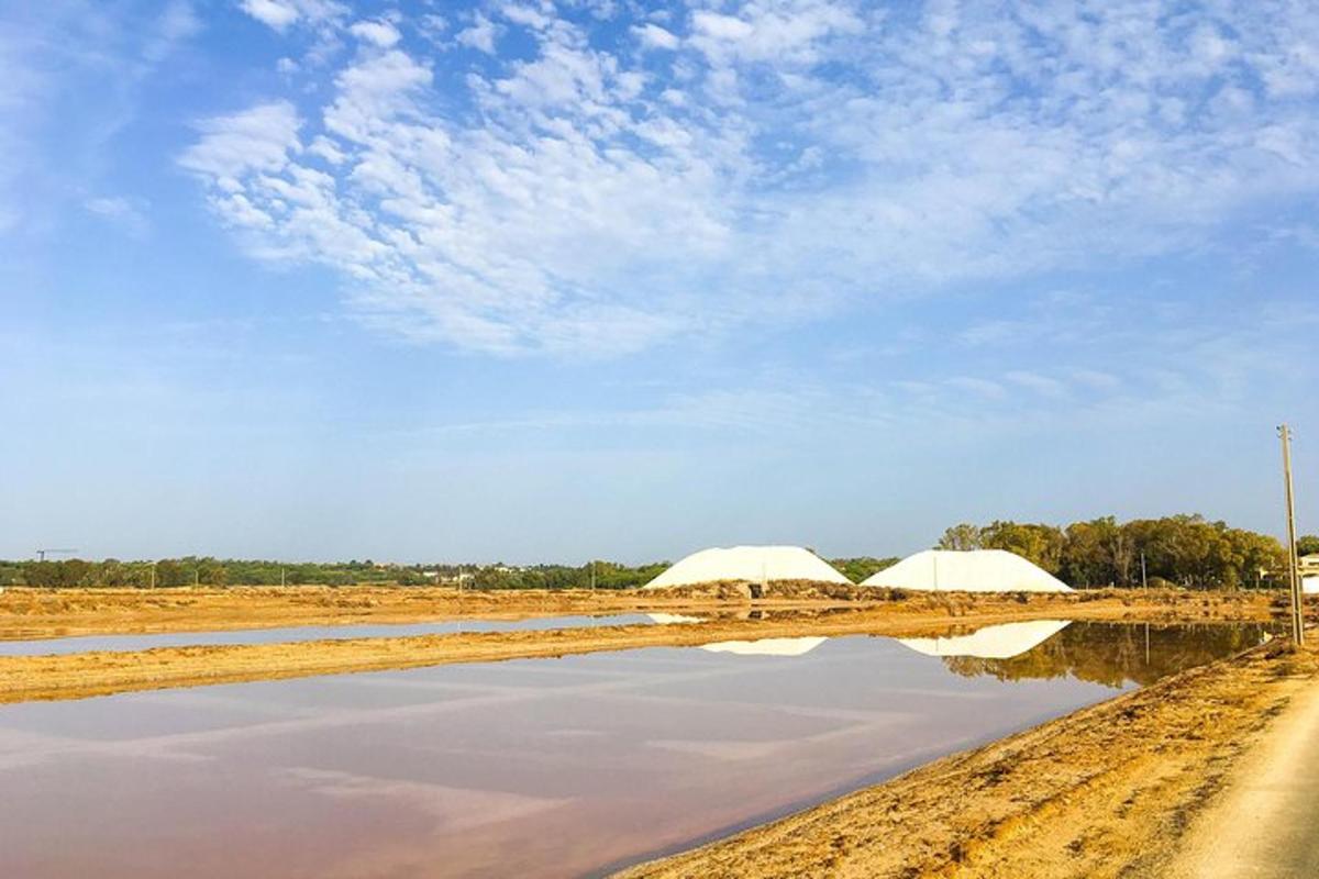 two tents in a field next to a body of water