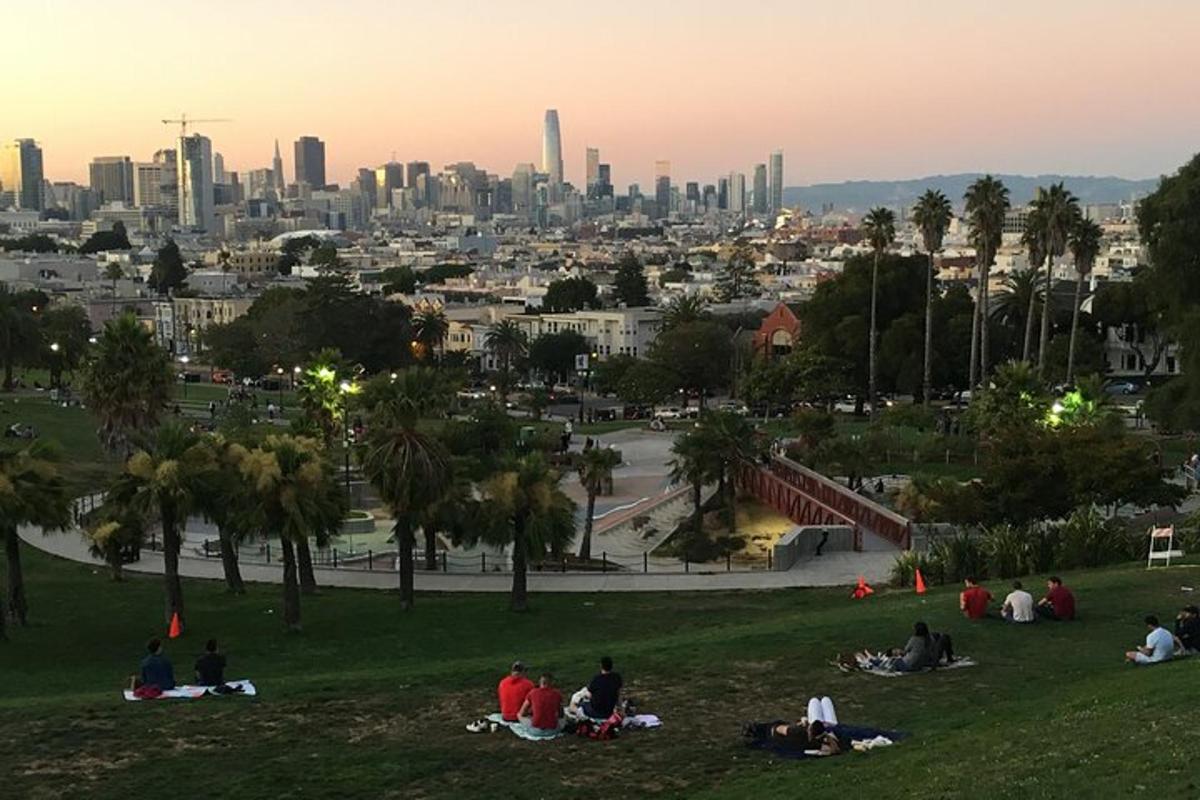 un gruppo di persone sedute in un parco con una città sullo sfondo