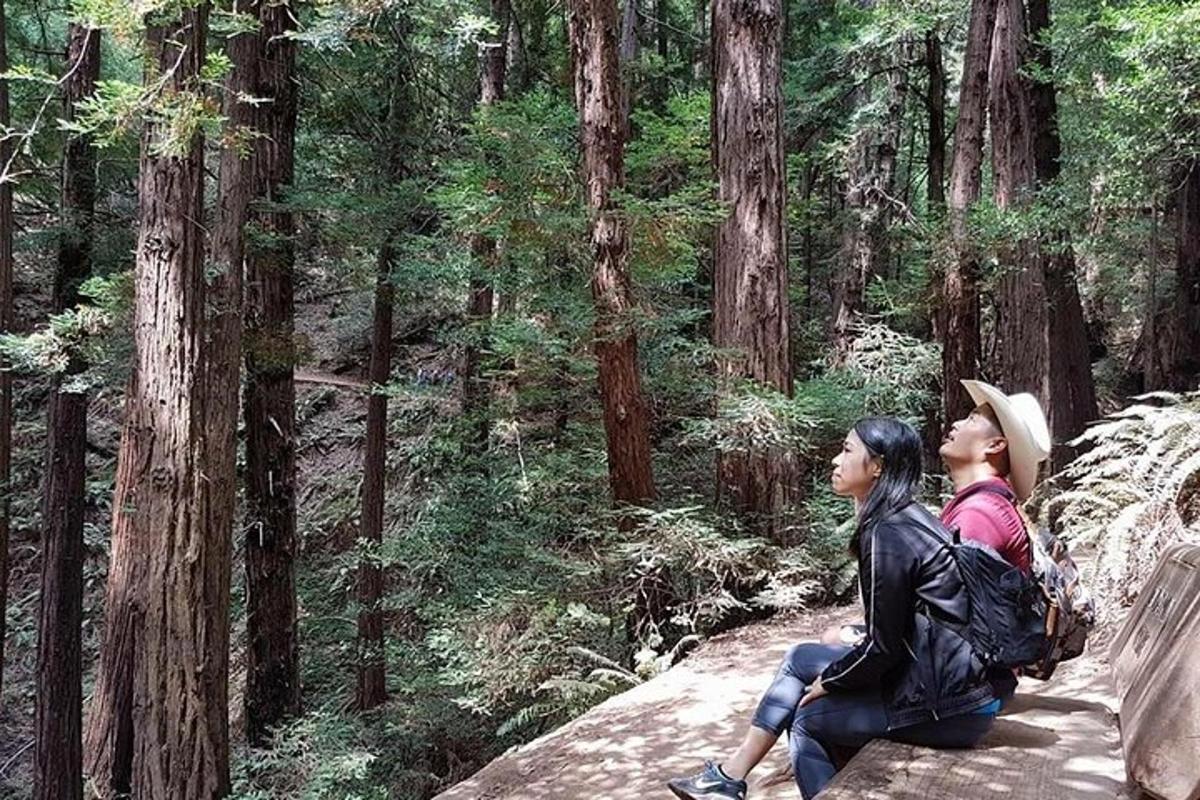 two women sitting on a rock in a forest