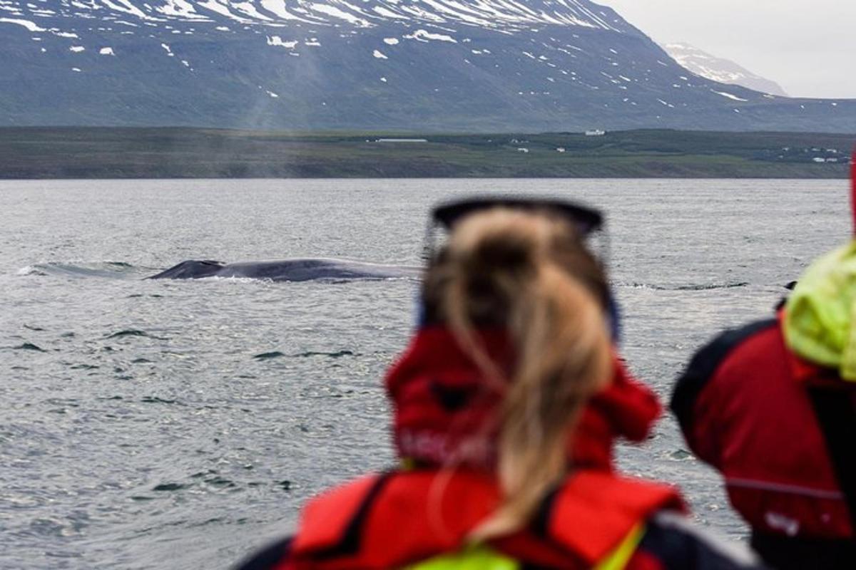 Ljósmynd af afþreyingu 4