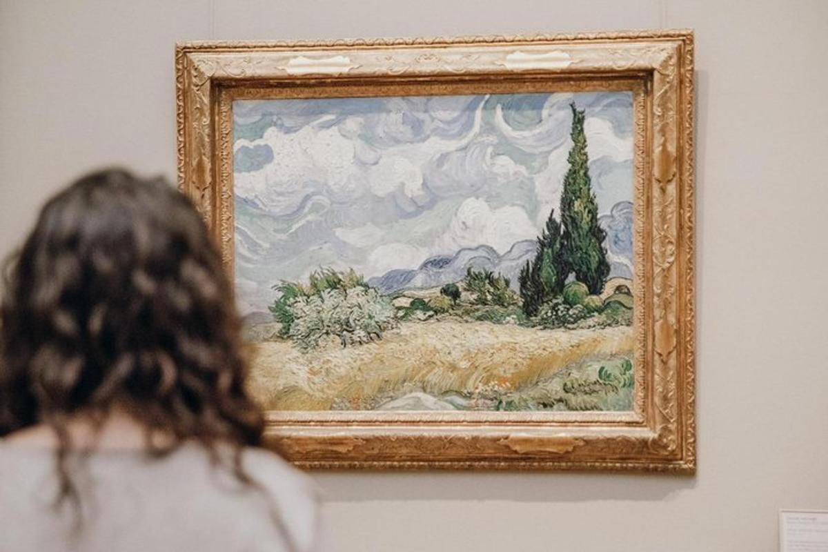 a person looking at a painting in a museum
