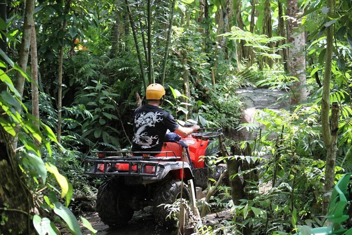 seorang yang menaiki atv di dalam hutan
