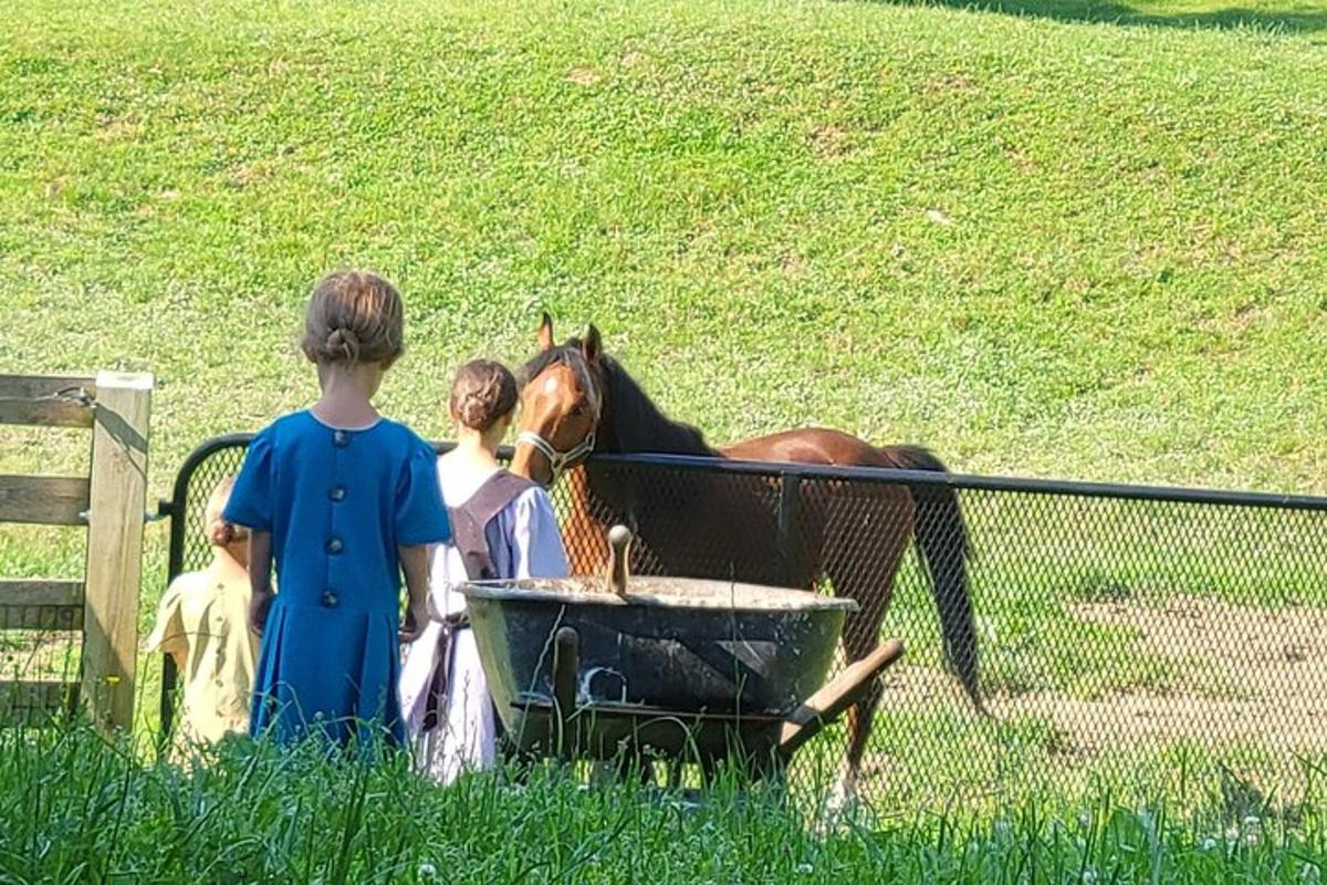 two children and a horse drinking water from a trough