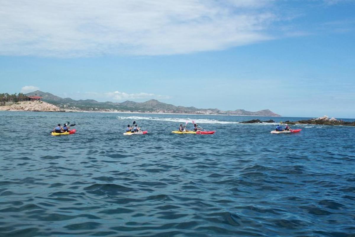 un gruppo di persone che navigano sui kayak in acqua