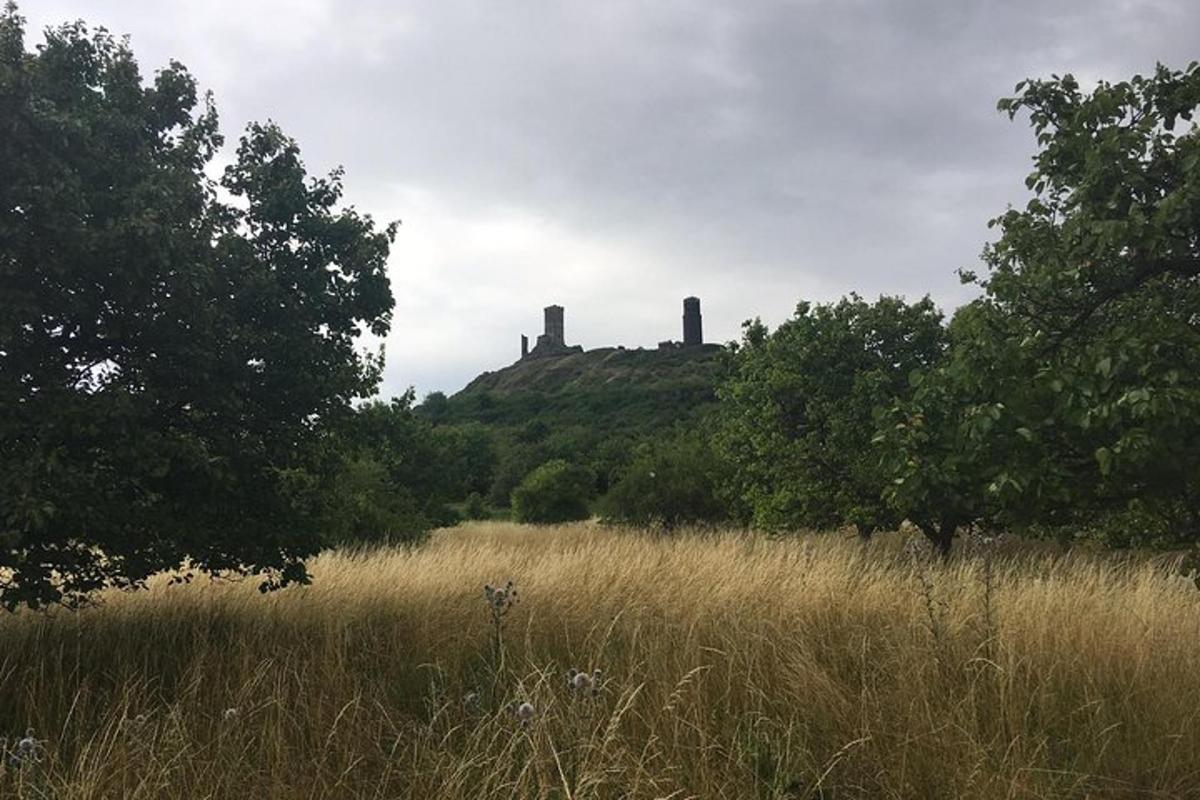 Un campo de hierba alta con un castillo en una colina