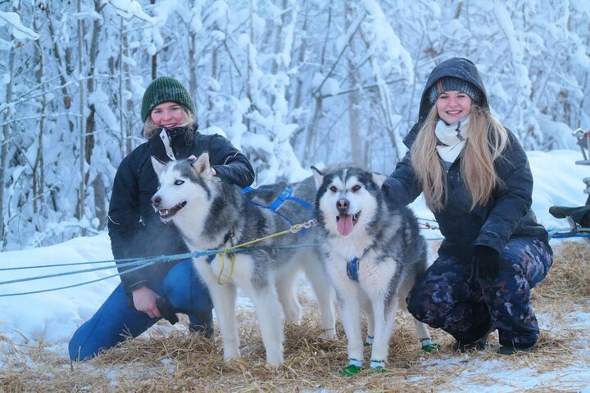 Kaks tüdrukut ja kaks huskyt lumes