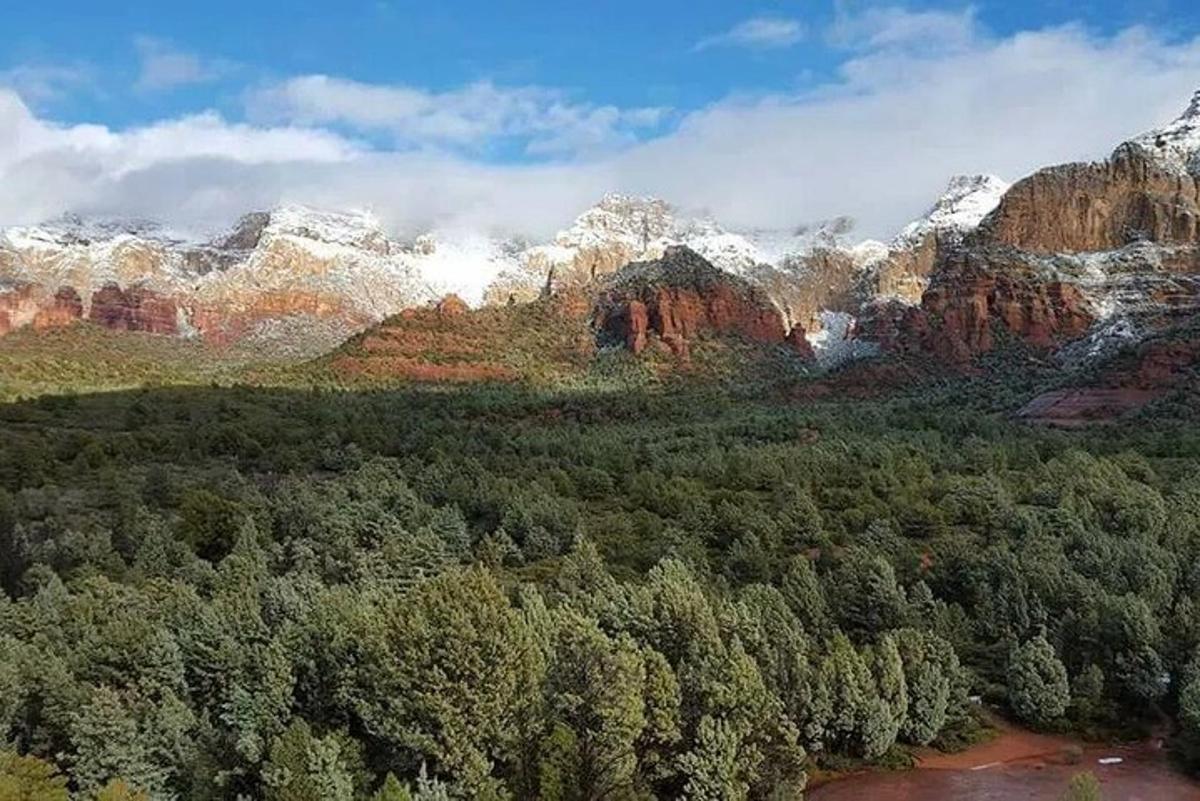 an aerial view of a mountain range with trees