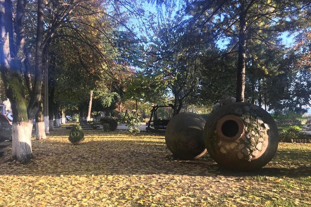 liela riepa, kas stāv uz zemes parkā