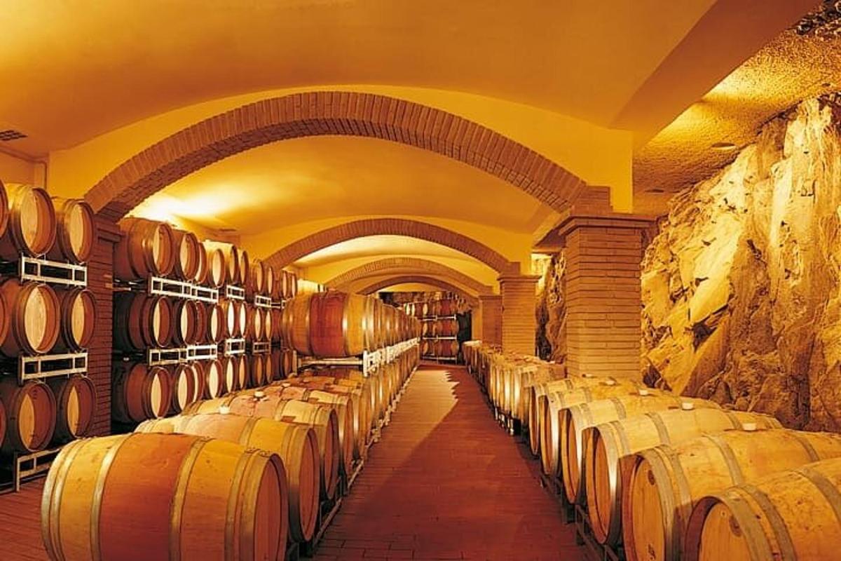 a wine cellar with rows of wine barrels