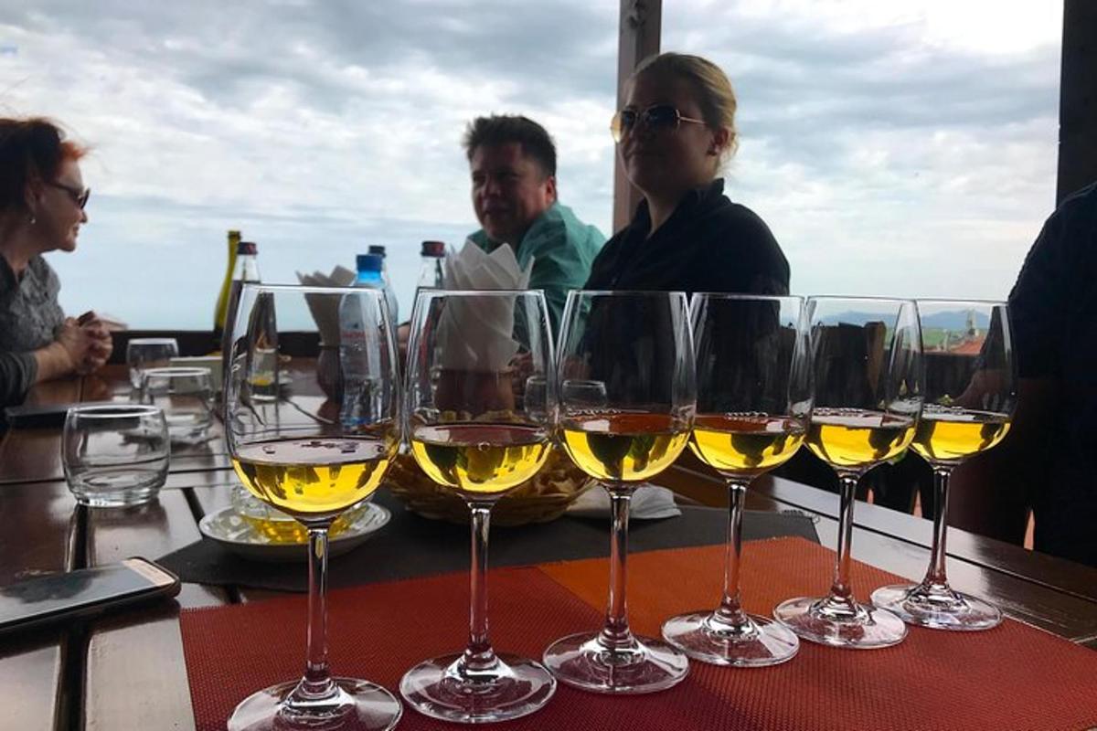 a group of people sitting at a table with wine glasses