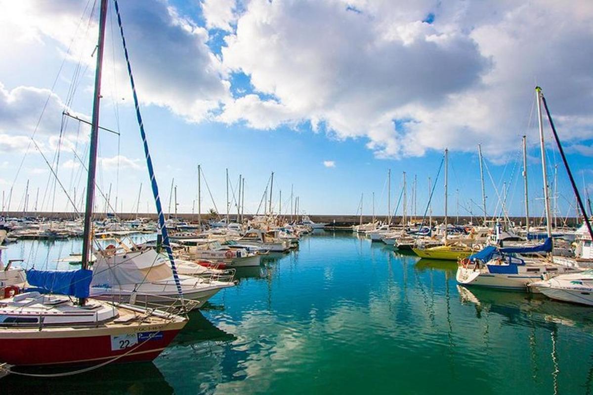 a bunch of boats are docked in a harbor