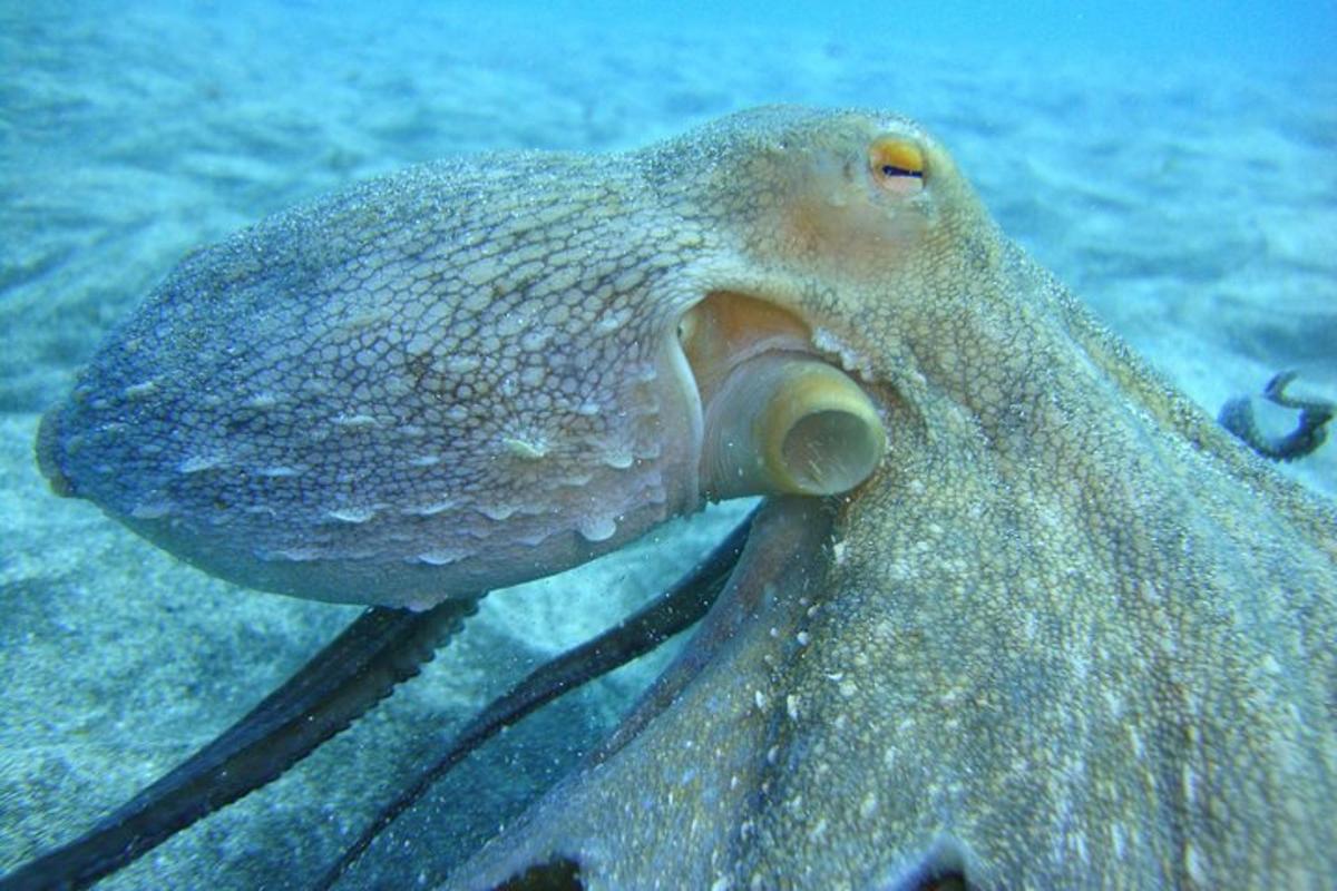 Lankytinos vietos ar pramogos nuotrauka numeris 2