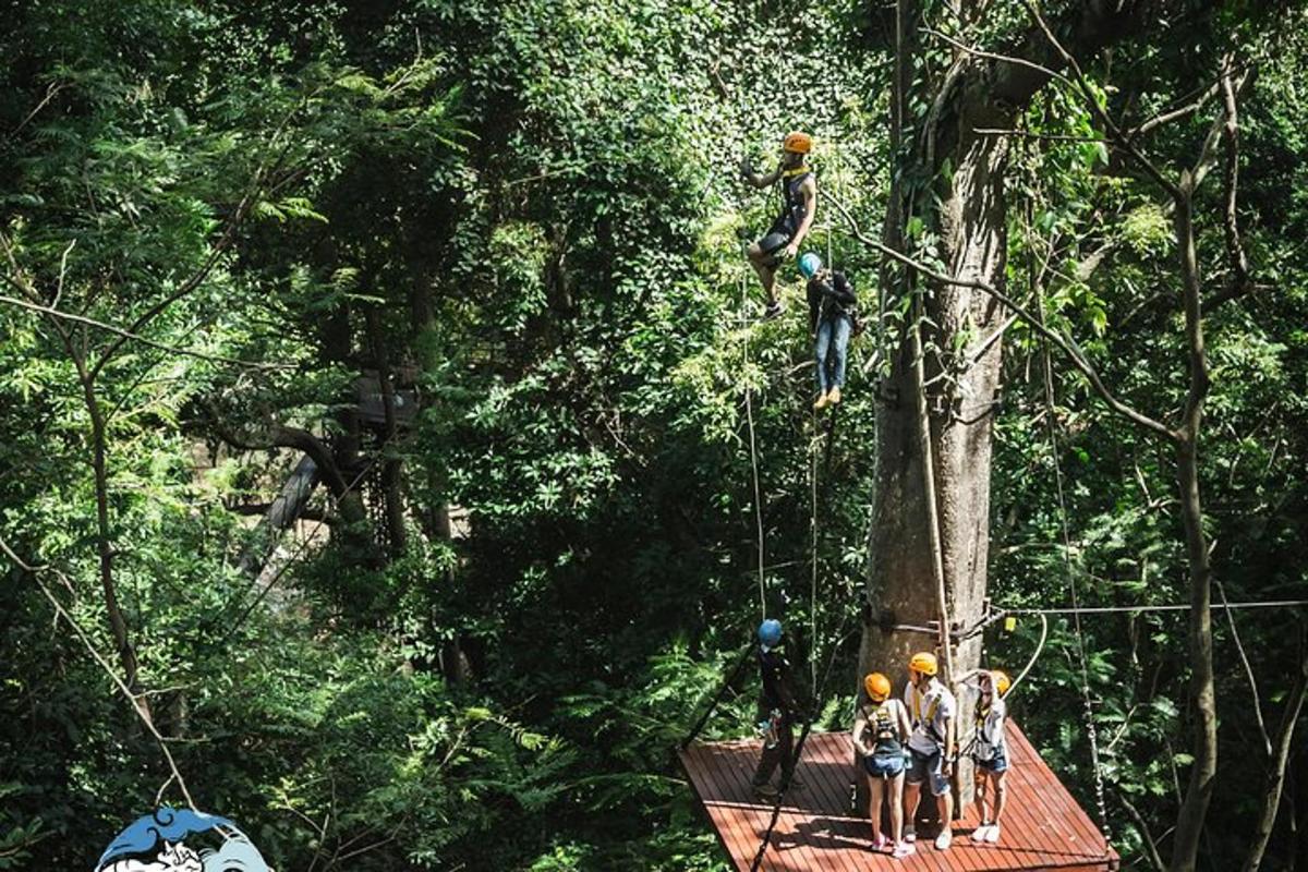 Un grupo de personas en una tirolina en los árboles.