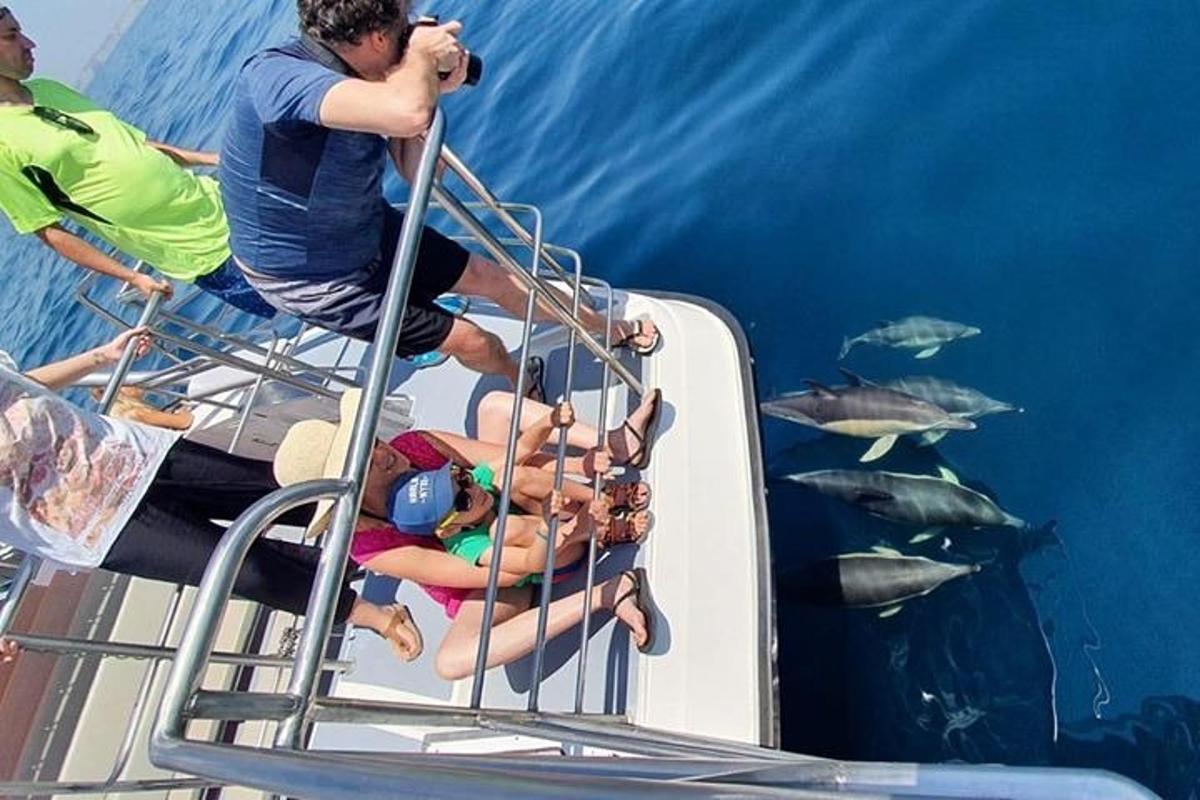 um grupo de pessoas em um barco observando tubarões