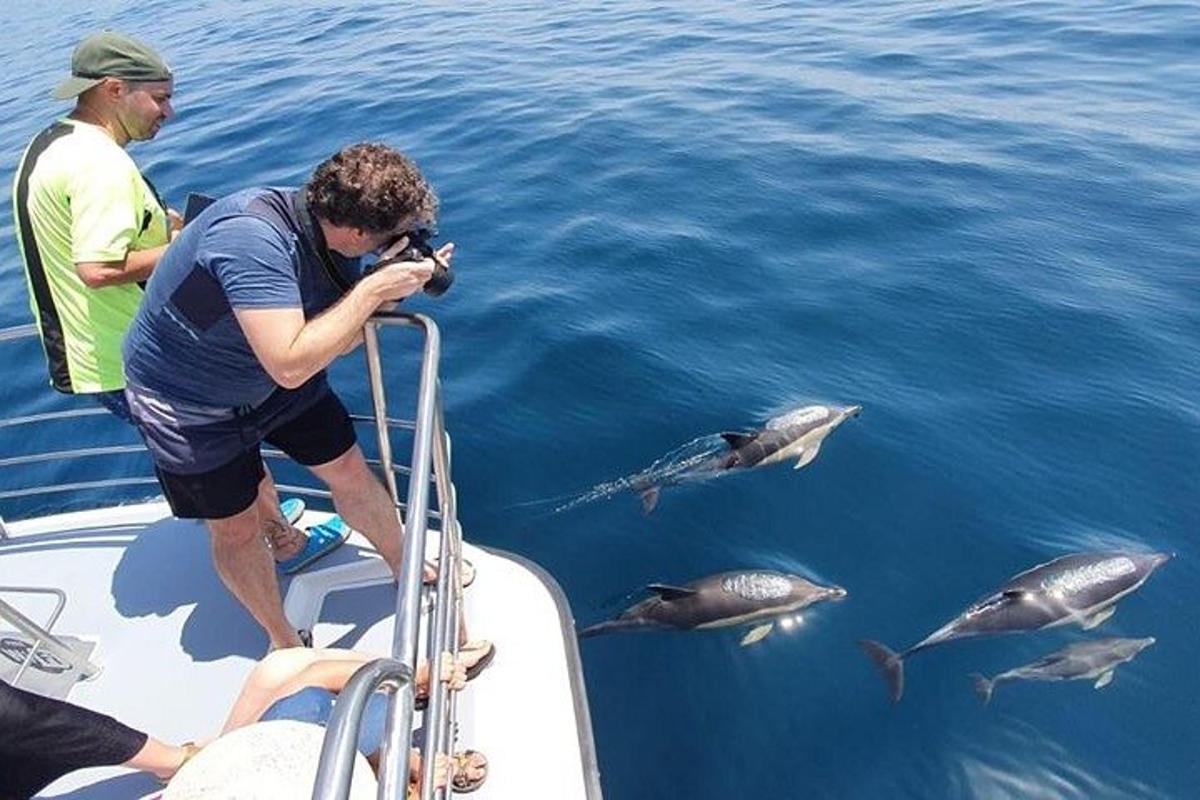 um homem tirando uma foto de golfinhos em um barco