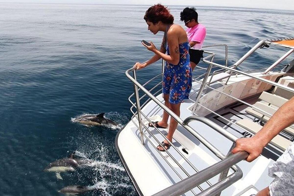 uma mulher em pé em um barco olhando para um golfinho