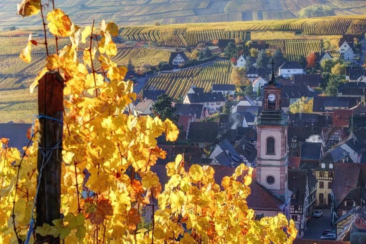 Colmar : excursion Route des Vins d'Alsace avec 2 dégustations, 4 h – photo 1