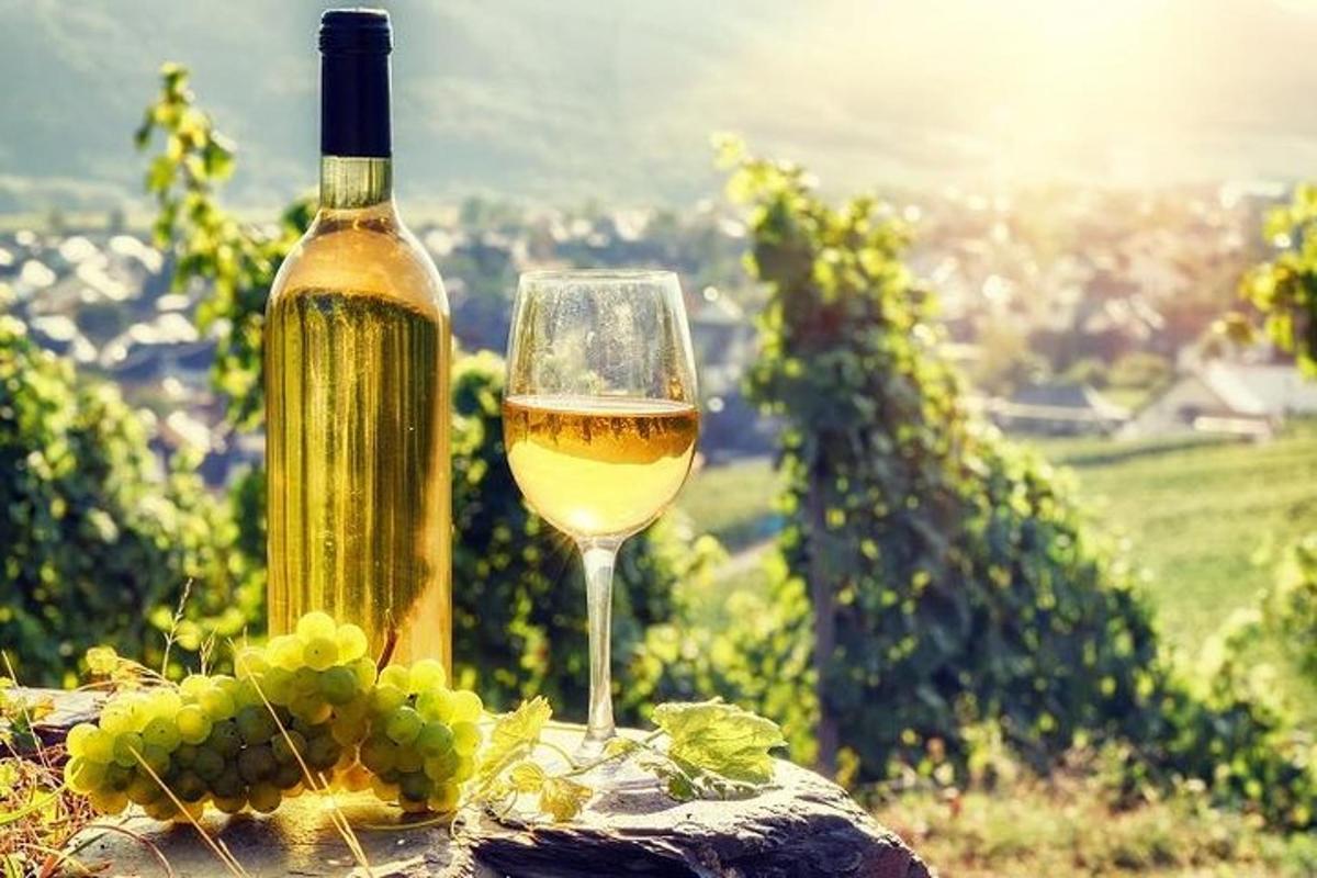 eine Flasche Wein und ein Glas Trauben