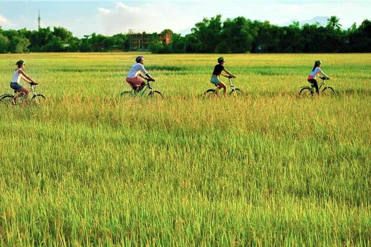 un gruppo di persone in bicicletta in un campo