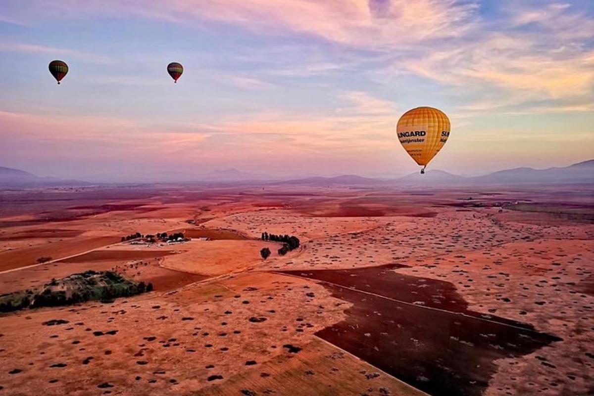 un gruppo di mongolfiere che sorvolano il deserto