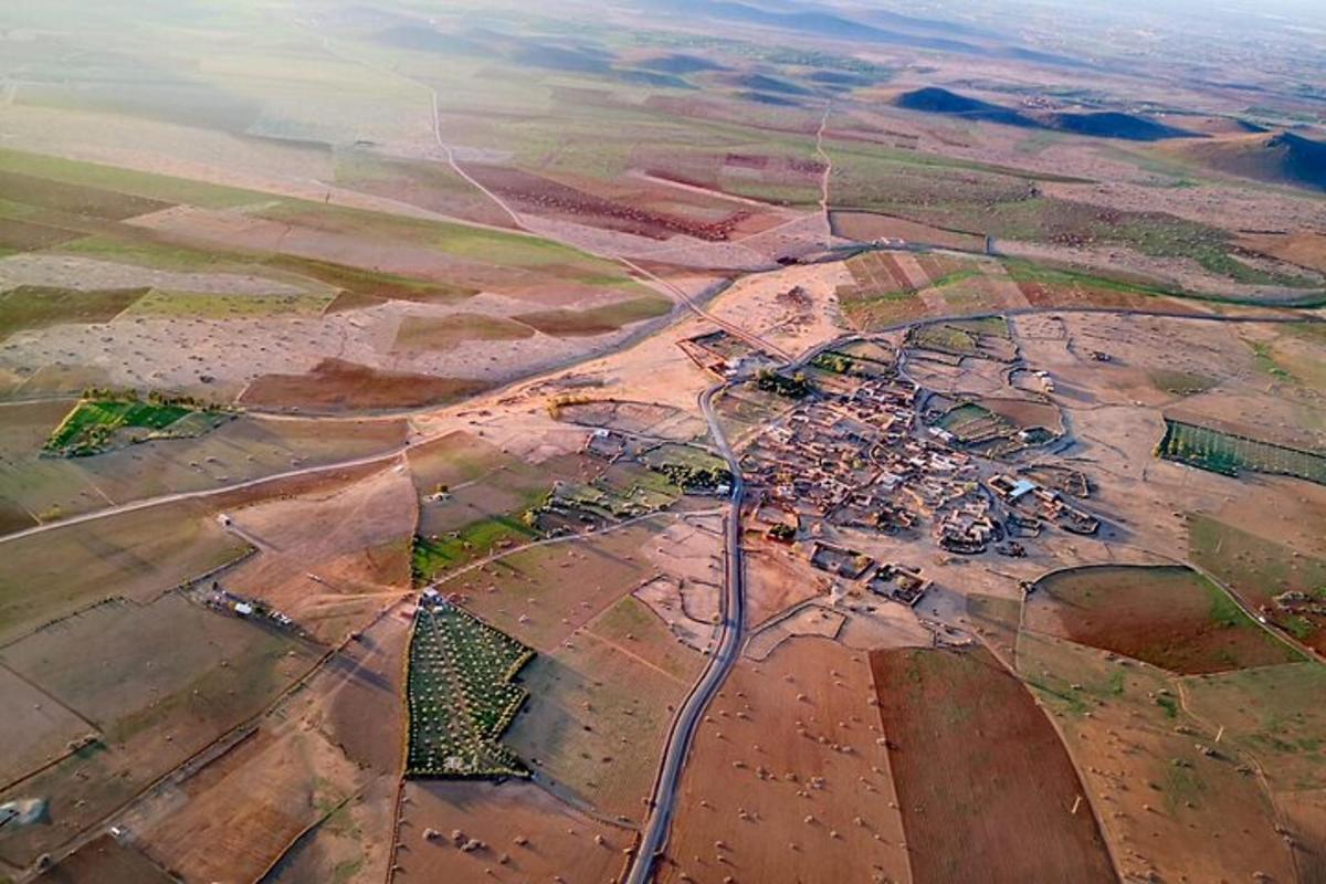 an aerial view of a village in a field