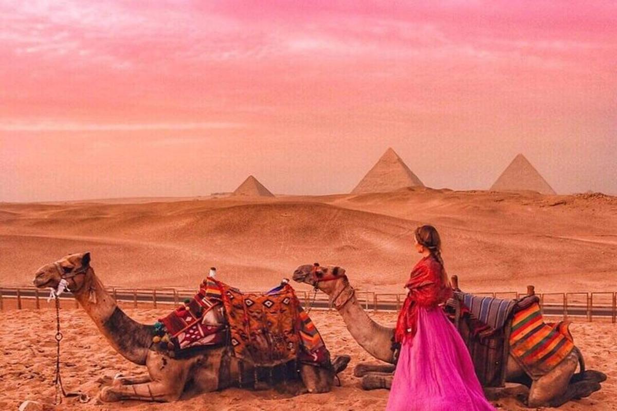 امرأة مع جملين أمام الأهرامات