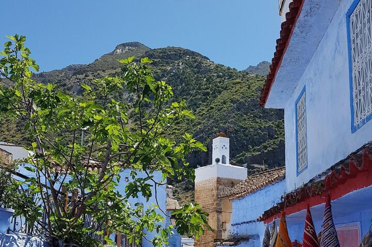 Fotografia da atração 6