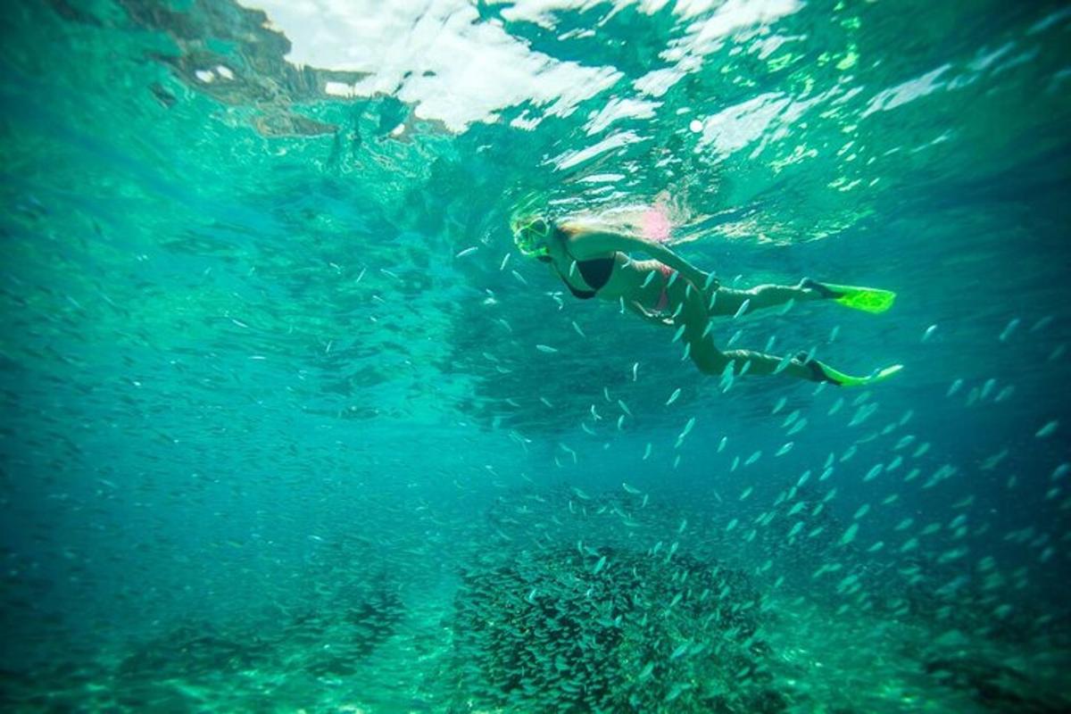 una persona sta nuotando nell'acqua