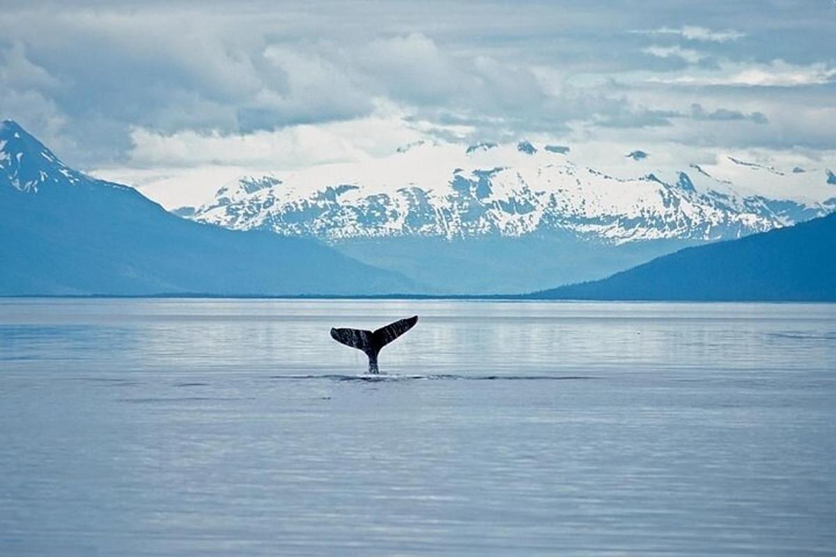 a bird standing in the water with mountains in the background