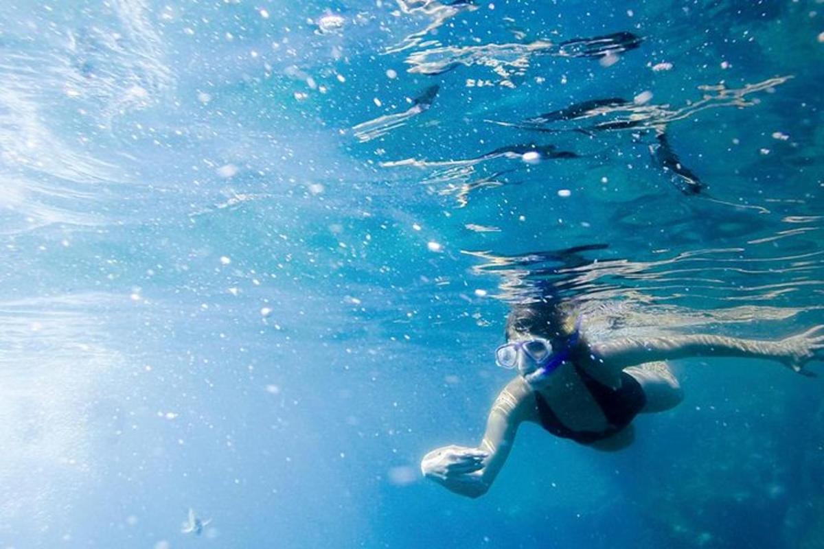 ένα άτομο κολυμπάει στο νερό