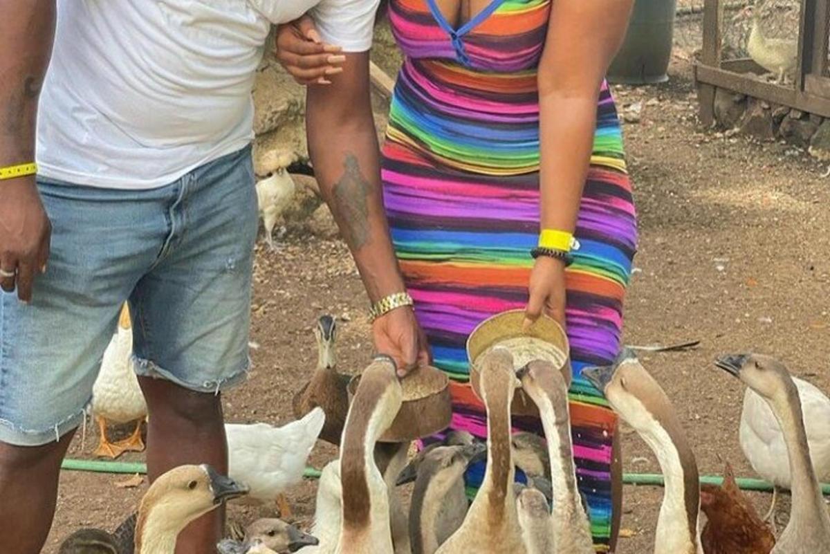 un bărbat și o femeie stând lângă un grup de păsări