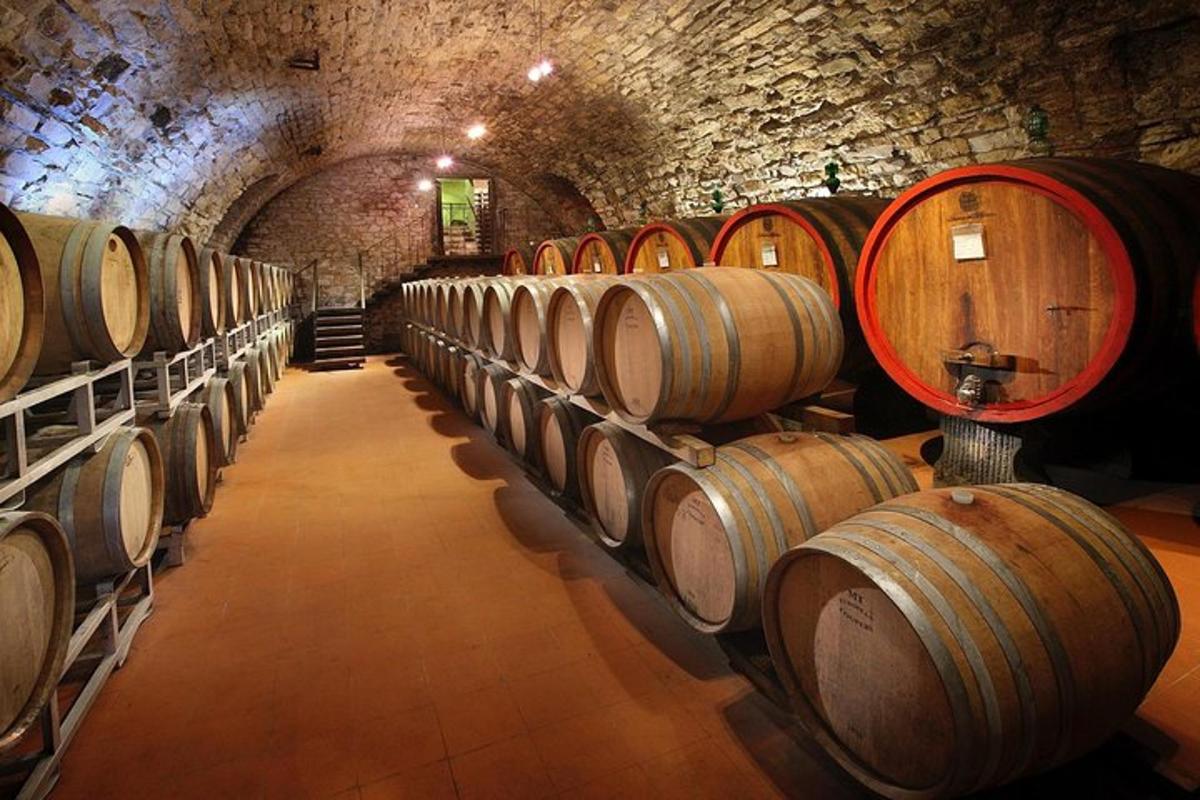 una fila de barriles de vino en una bodega