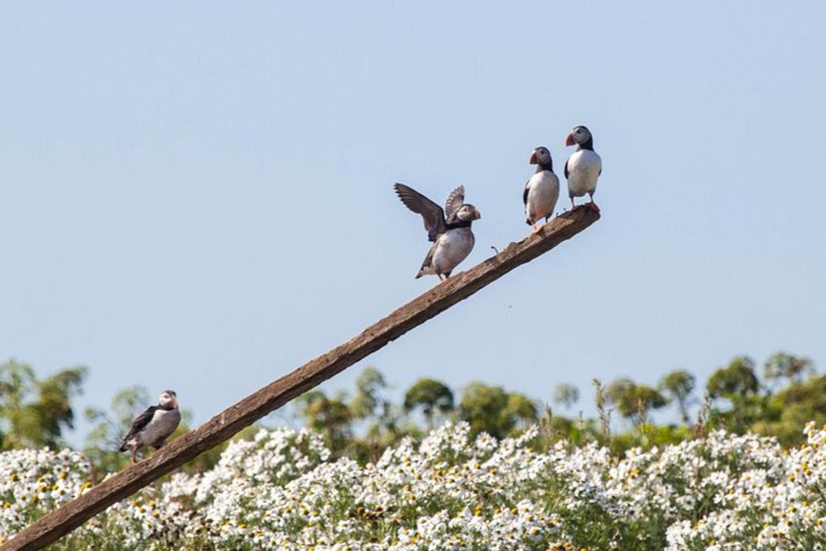 Fotografia da atração 4