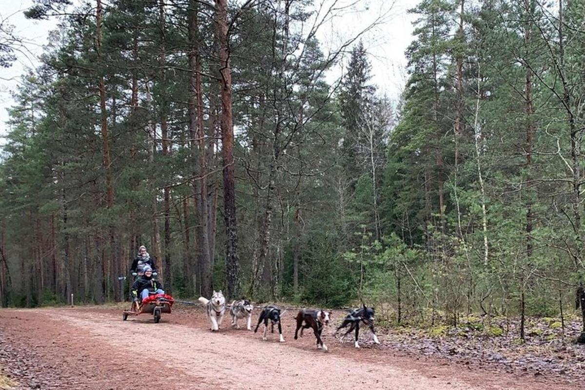 Un hombre en un quad con perros en un camino de tierra