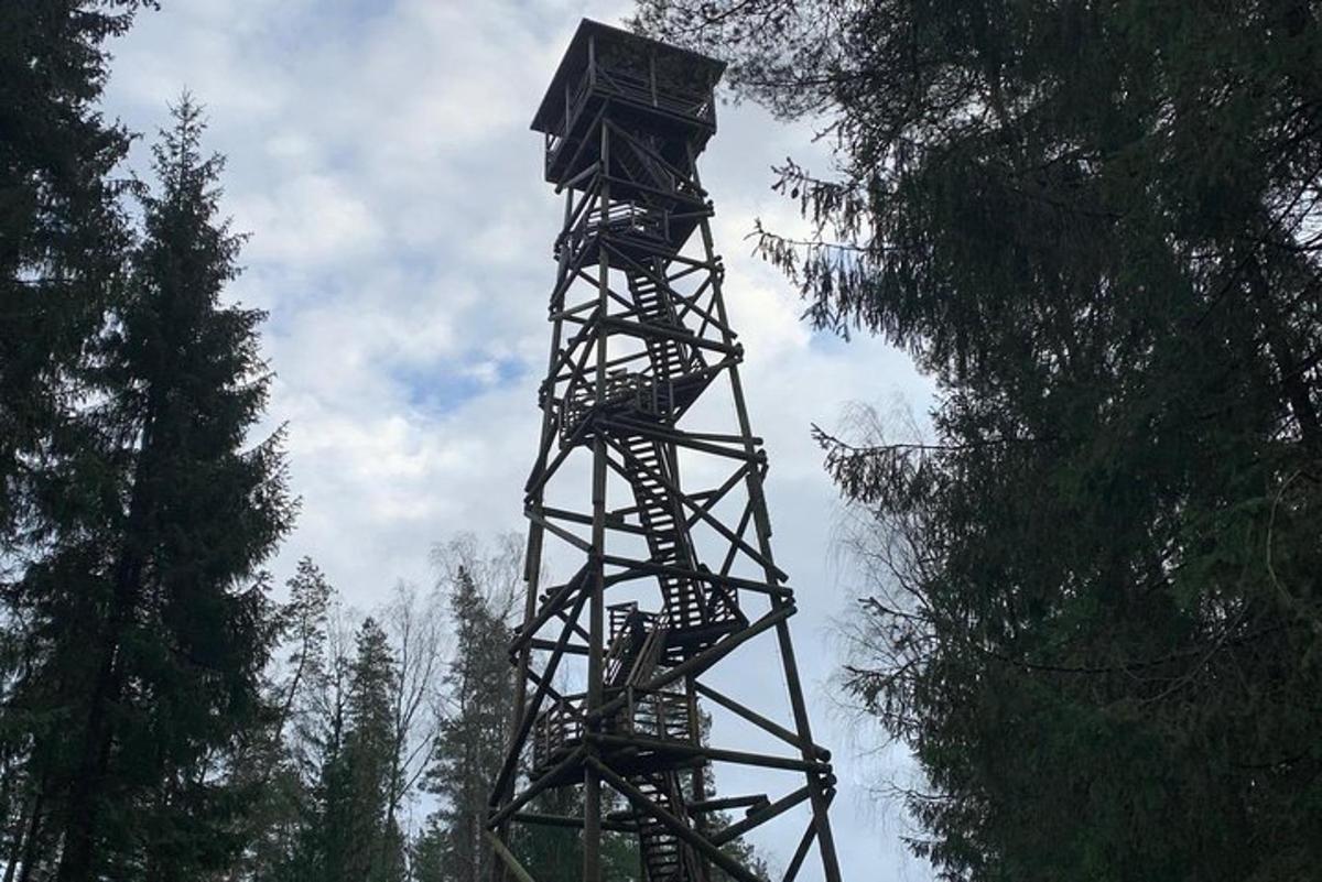 Una casa alta en el árbol en medio de un bosque