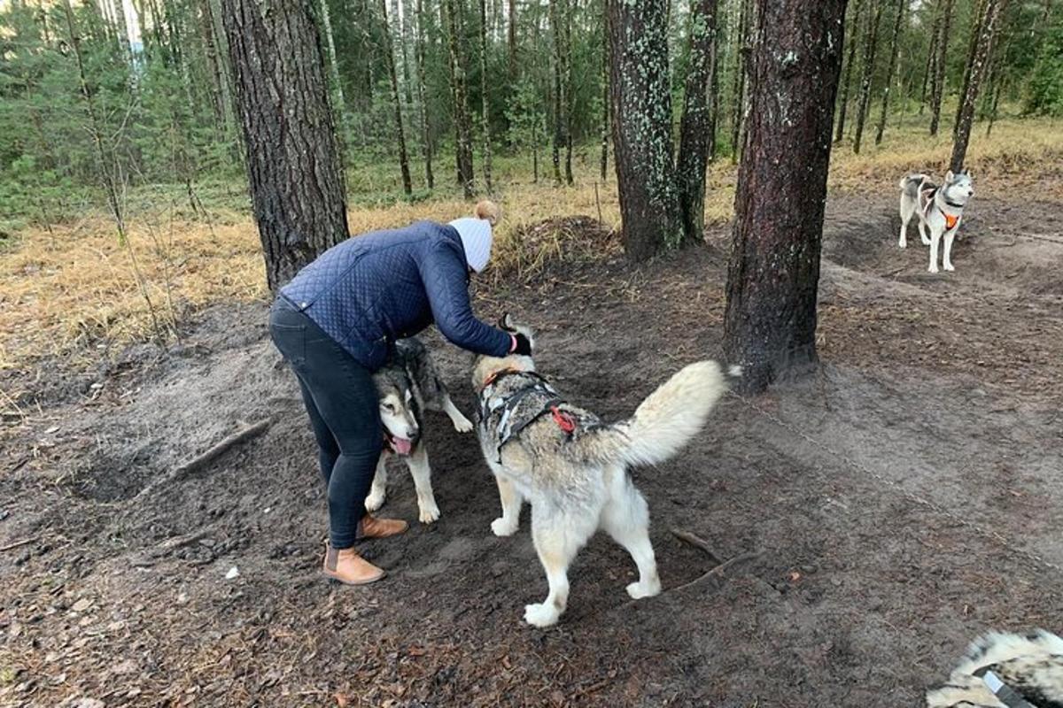 Una mujer está acariciando a un perro en el bosque.