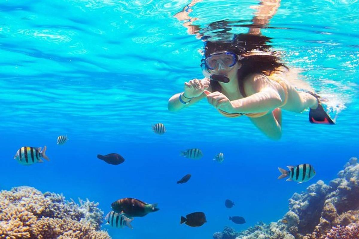 a woman swimming in the water with fish