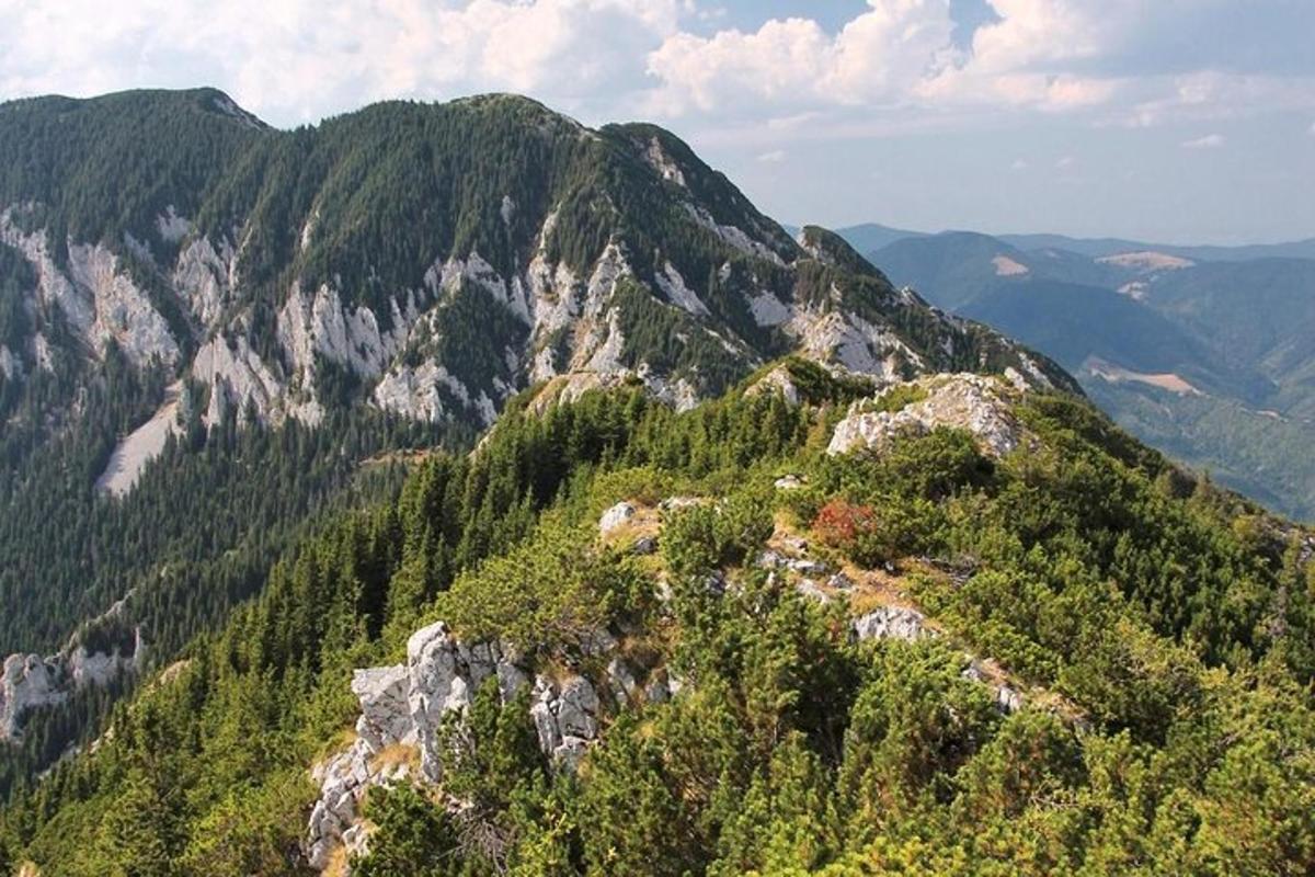 a view of a mountain with trees and rocks