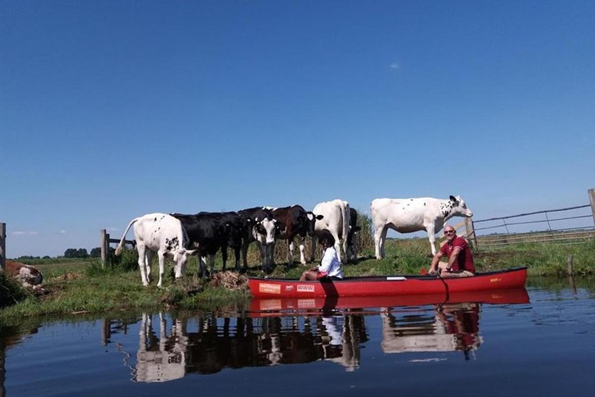dua anak di perahu merah di depan kawanan sapi