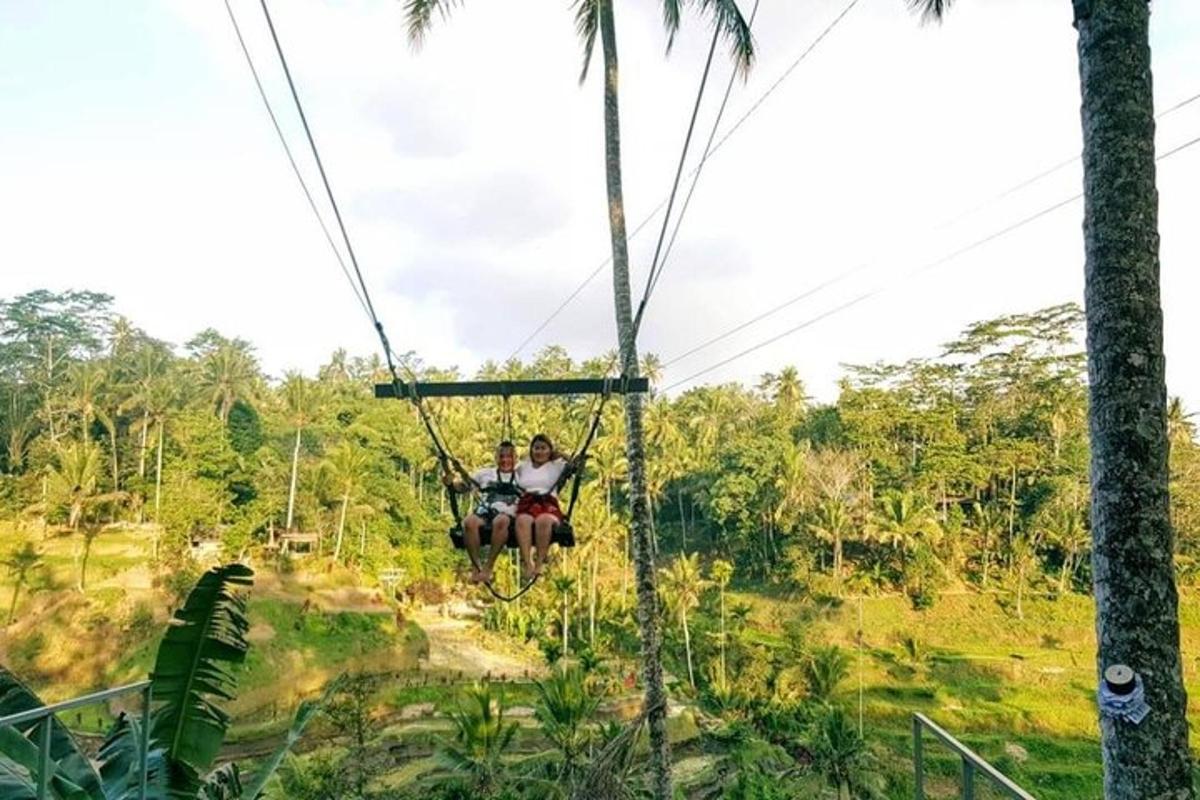 dua orang menunggang zip di dalam hutan