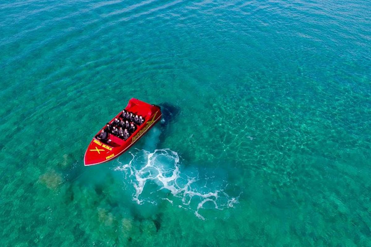 Lankytinos vietos ar pramogos nuotrauka numeris 3