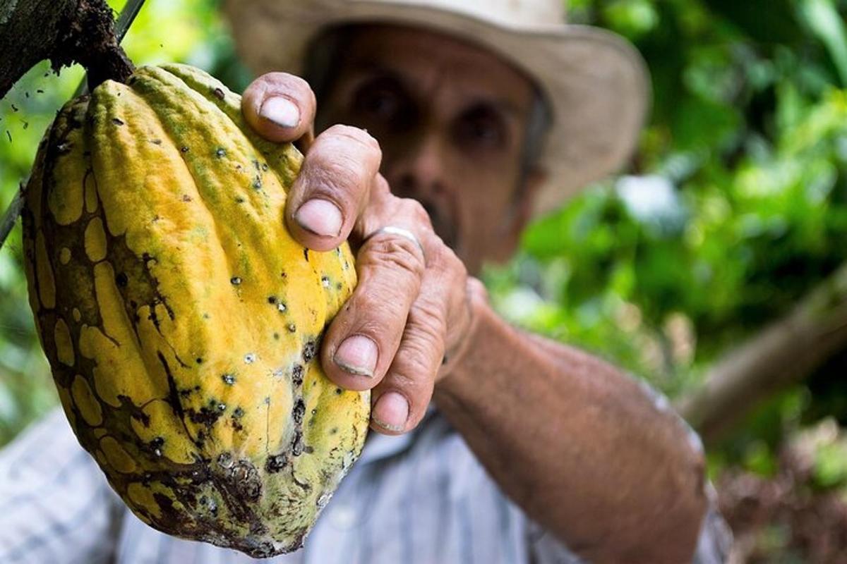 un uomo che tiene una banana appesa a un albero