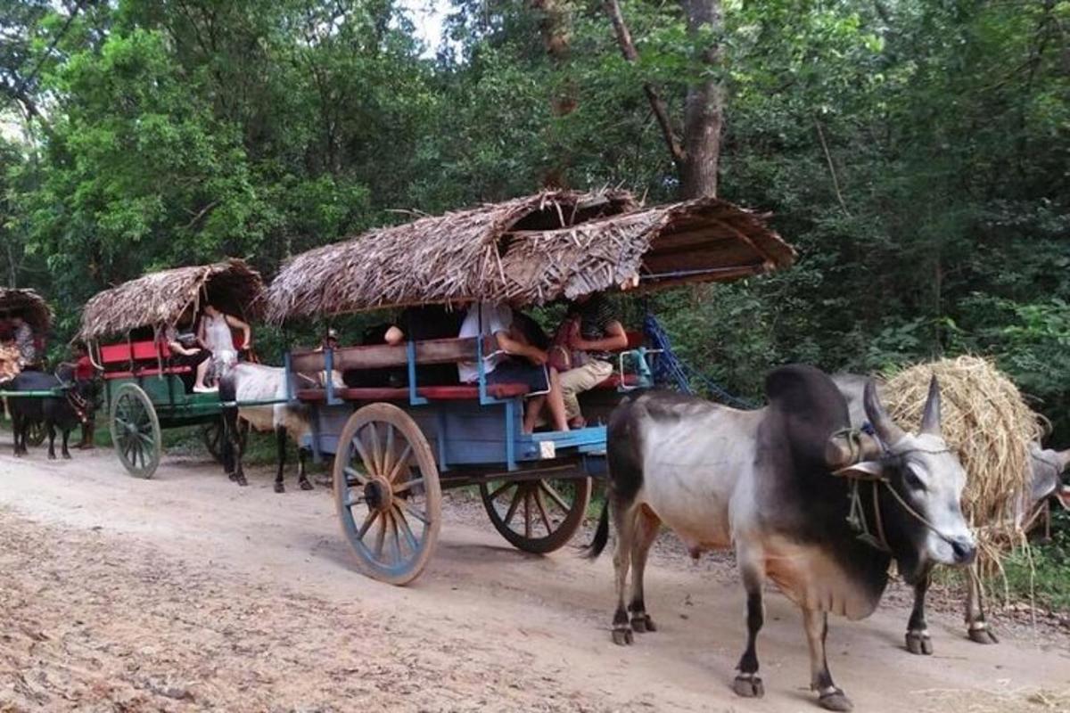 a group of people riding in a horse drawn wagon